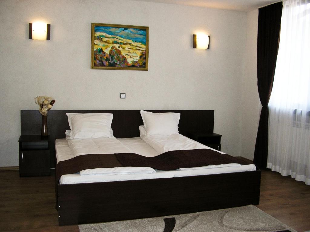 Hotel Melnik 3*