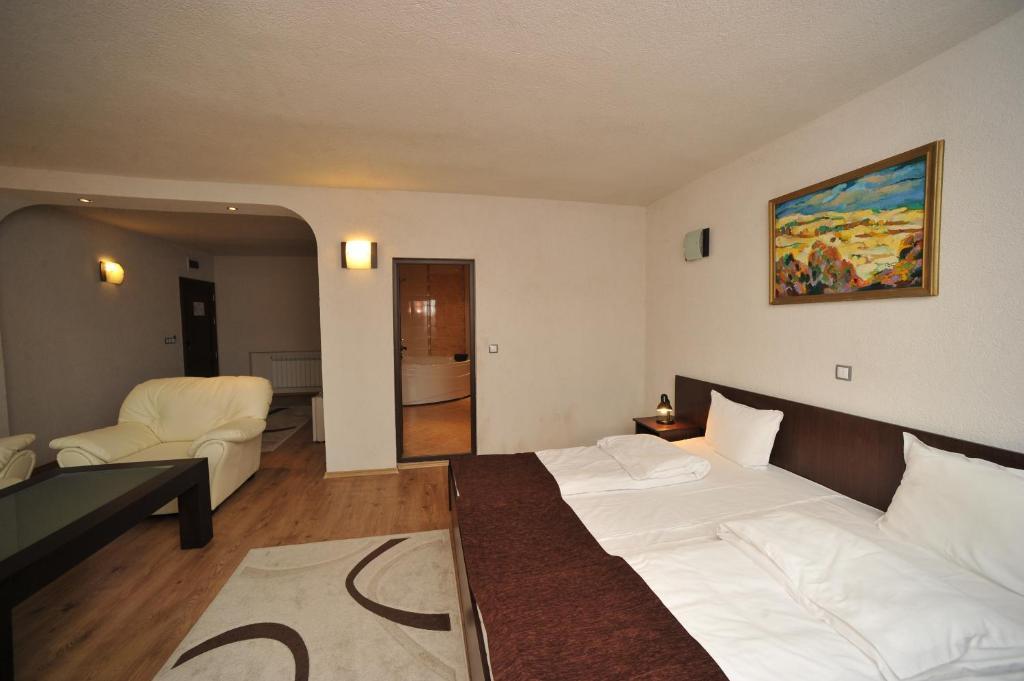 Hotel Hotel Melnik